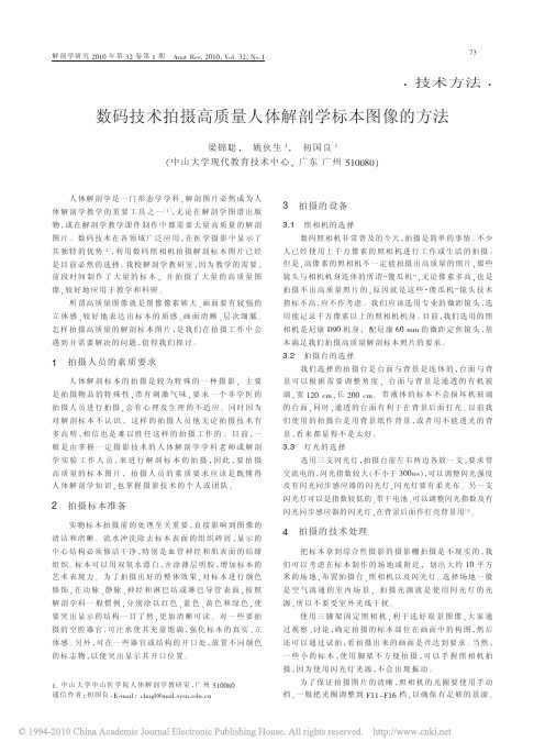 数码技术拍摄高质量人体解剖学标本图像的方法