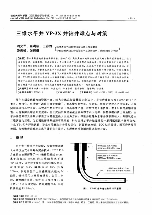 三维水平井YP-3X井钻井难点与对策