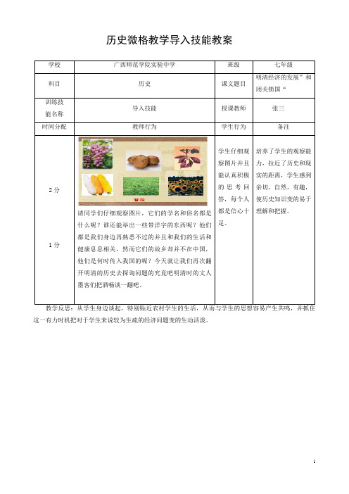 历史微格教学导入技能教案