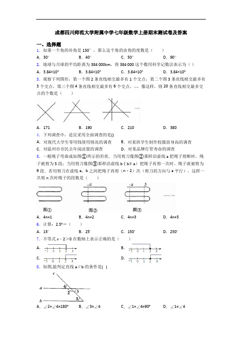 成都四川师范大学附属中学七年级数学上册期末测试卷及答案