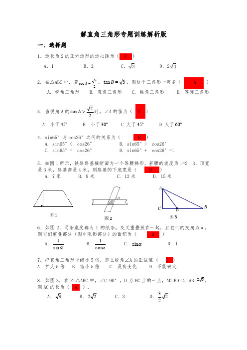 解直角三角形专题训练解析版