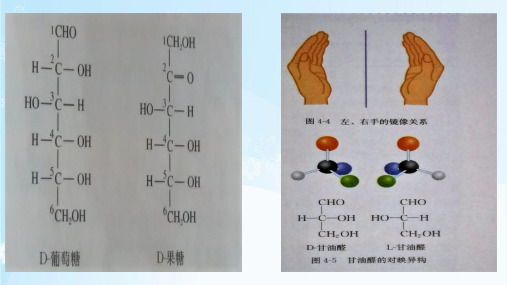 人教版选修五 1.2同分异构体书写与数目判断(共16张PPT)