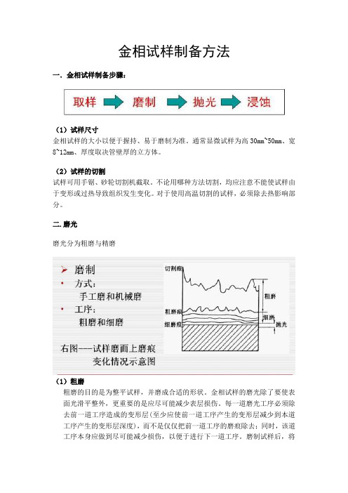 金相磨制实验