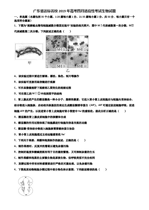 广东省达标名校2019年高考四月适应性考试生物试题含解析