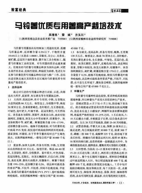 马铃薯优质专用薯高产栽培技术