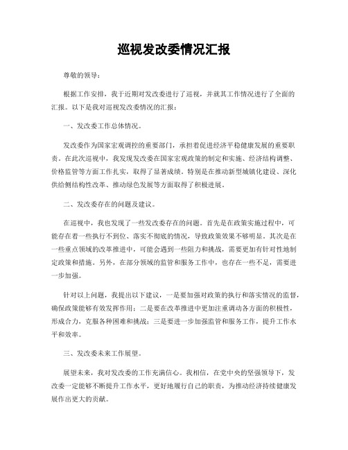 巡视发改委情况汇报