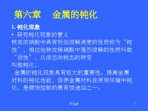 金属腐蚀与防护 第6章 金属的钝化