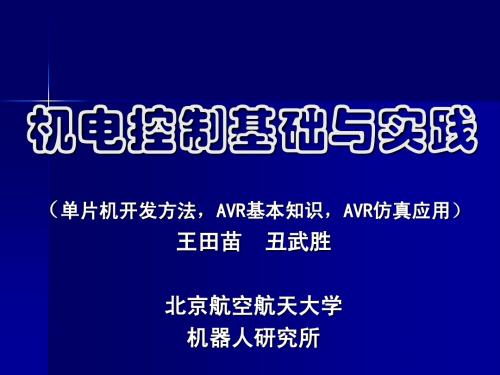 单片机开发_AVR仿真应用