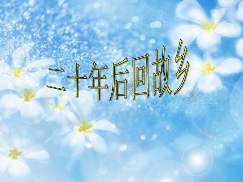 二十年后回故乡作文指导PPT