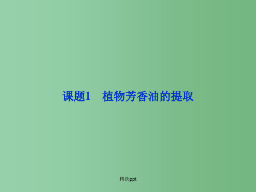 高中生物 6.1 植物芳香油的提取课件 新人教版选修1