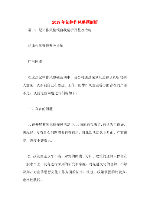2019年纪律作风整顿剖析