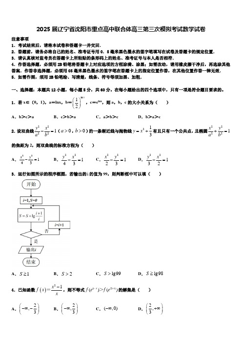 2025届辽宁省沈阳市重点高中联合体高三第三次模拟考试数学试卷含解析