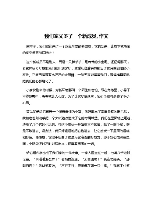 我们家又多了一个新成员,作文