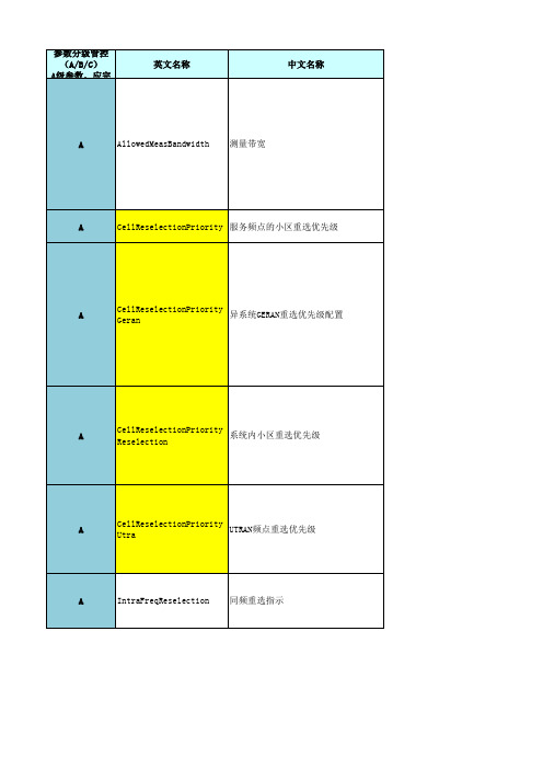 中国移动LTE无线参数分级管控