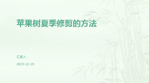 苹果树夏季修剪的方法