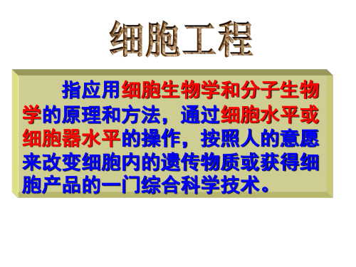 植物细胞工程的基本技术1PPT课件