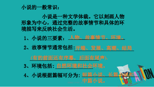 部编版九年级下册语文6契诃夫《变色龙》ppt课件