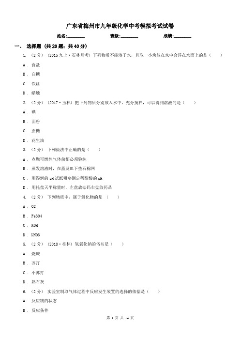 广东省梅州市九年级化学中考模拟考试试卷