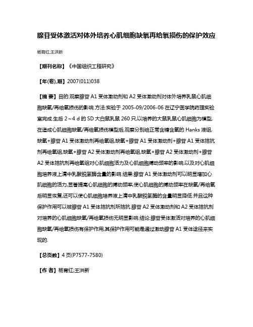 腺苷受体激活对体外培养心肌细胞缺氧再给氧损伤的保护效应