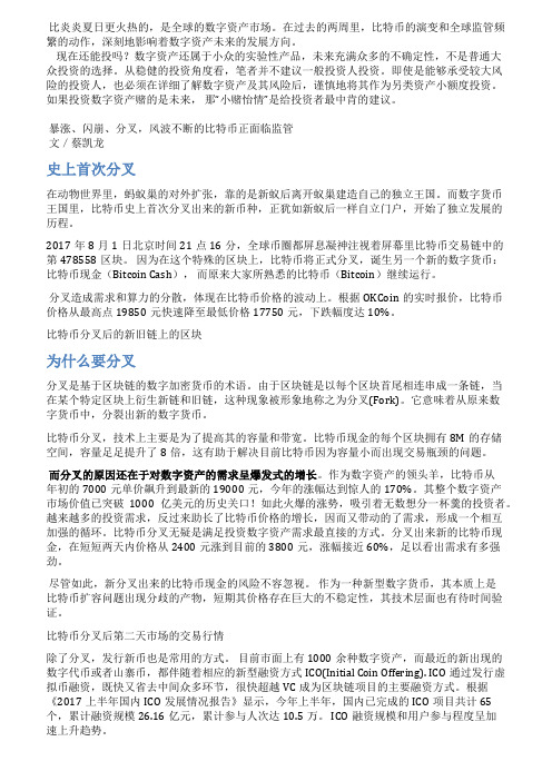 暴涨闪崩分叉风波不断的比特币正面临监管