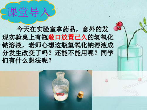 氢氧化钠变质的探究。