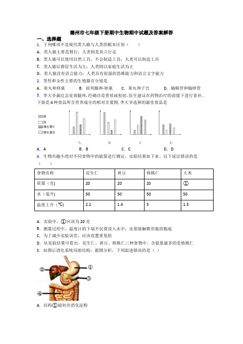 德州市七年级下册期中生物期中试题及答案解答