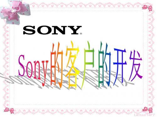 客户的关系管理4开发sony37页PPT