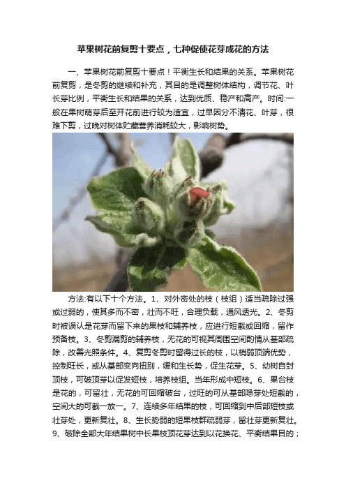 苹果树花前复剪十要点，七种促使花芽成花的方法