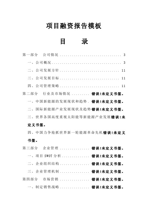 项目融资报告模板