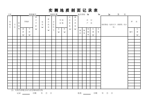 实测剖面地质记录表