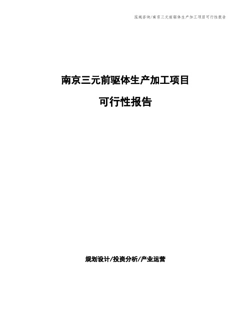 南京三元前驱体生产加工项目可行性报告