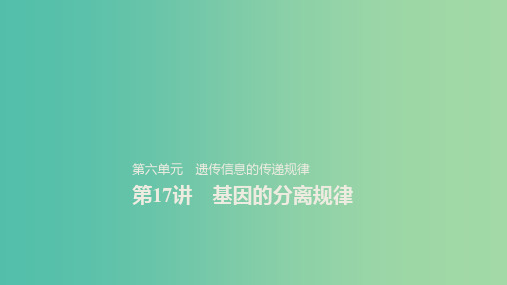 2020版高考生物新导学大一轮复习第六单元遗传信息的传递规律第17讲基因的分离规律课件北师大版