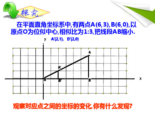 第2课时坐标系中的位似图形