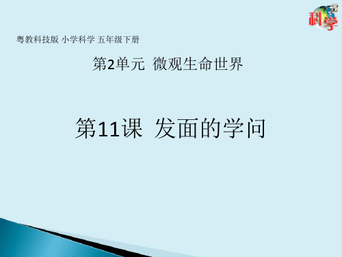 五年级下册科学PPT课件 《发面的学问》 粤教版 共19张