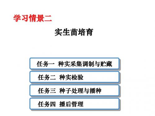 园林苗圃二  实生苗培育