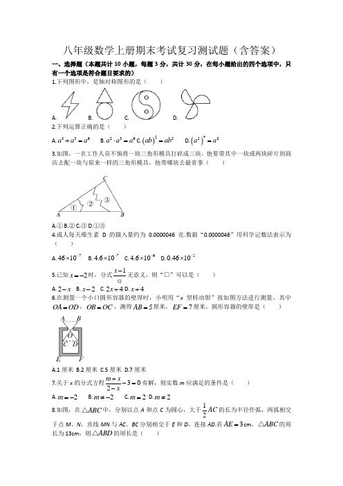 八年级数学上册期末考试复习测试题(含答案)