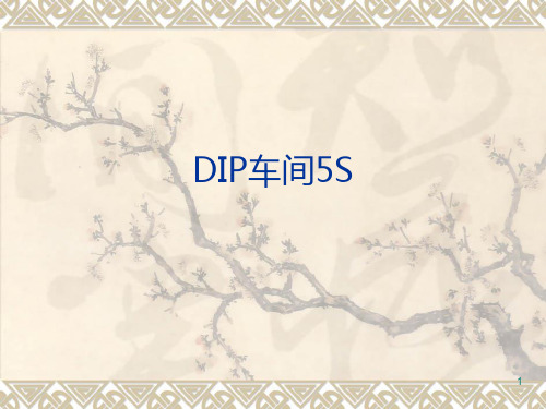 DIP车间5S培训——附加你上次图片-增加几页不良图片PPT课件