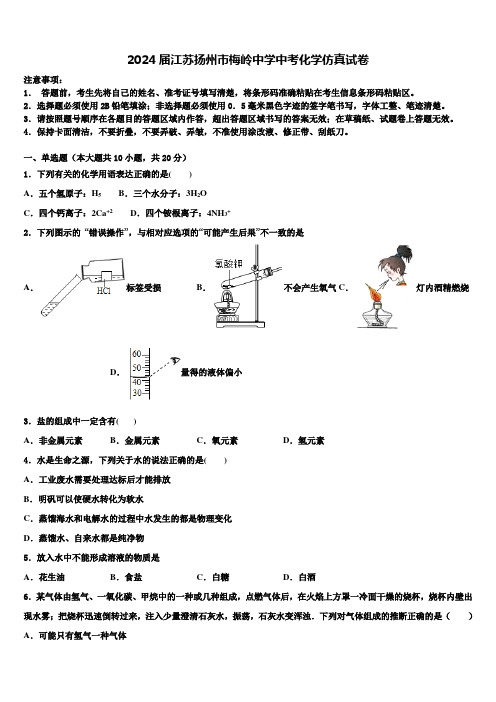 2024届江苏扬州市梅岭中学中考化学仿真试卷含解析