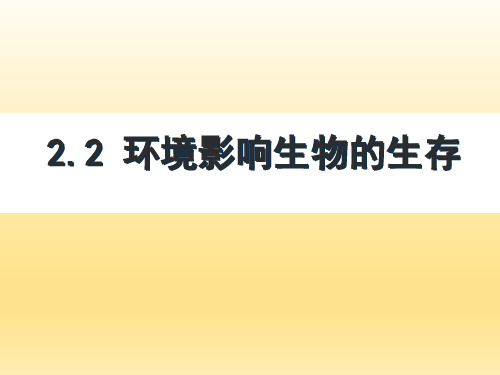 第二节环境影响生物的生存课件苏科版生物七年级上册