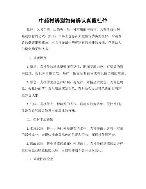 中药材辨别如何辨认真假杜仲