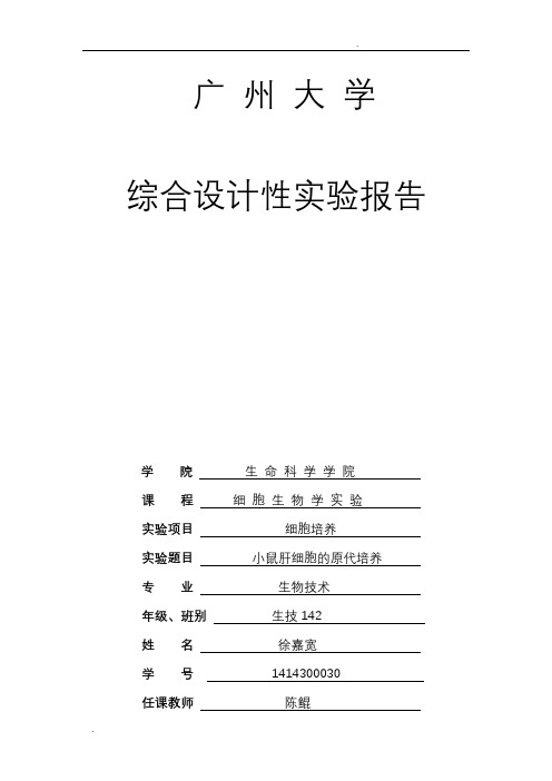 细胞生物学小鼠细胞培养实验报告