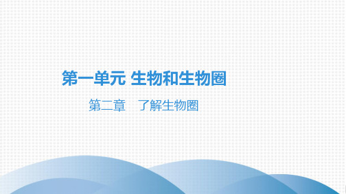 2021中考广东专用生物知识点一轮复习第一单元第二章 了解生物圈 课件