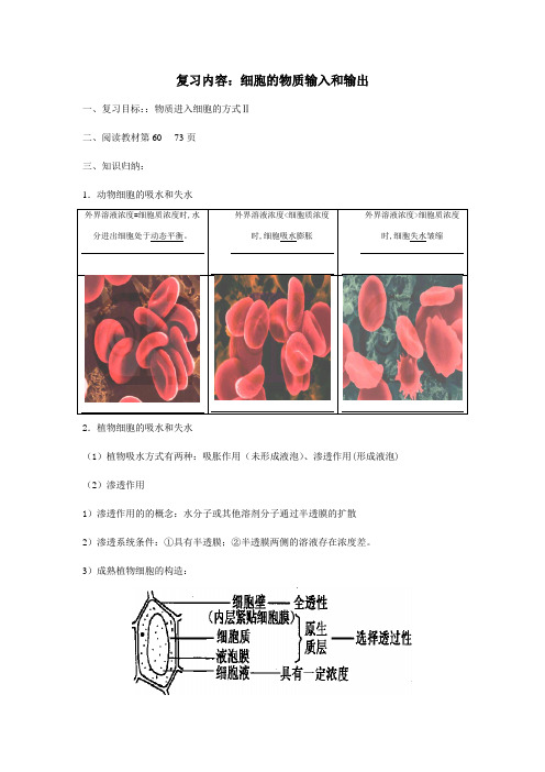 (最新)高三生物复习高效学案《细胞的物质输入和输出》