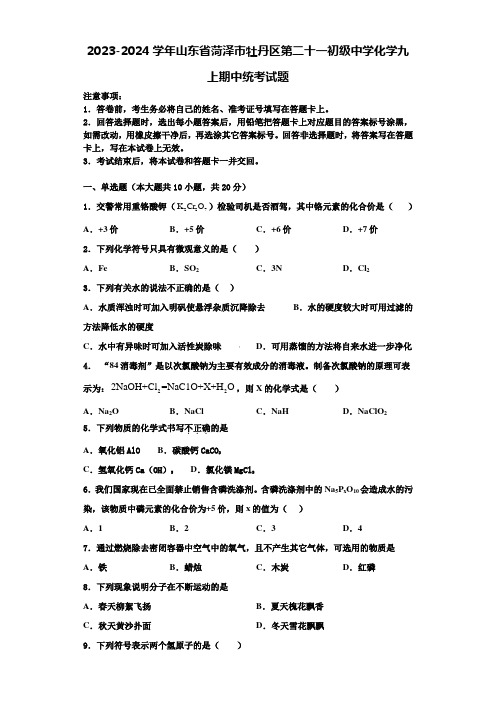 2023-2024学年山东省菏泽市牡丹区第二十一初级中学化学九上期中统考试题含解析