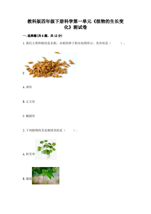 教科版四年级下册科学第一单元《植物的生长变化》测试卷附参考答案(a卷)