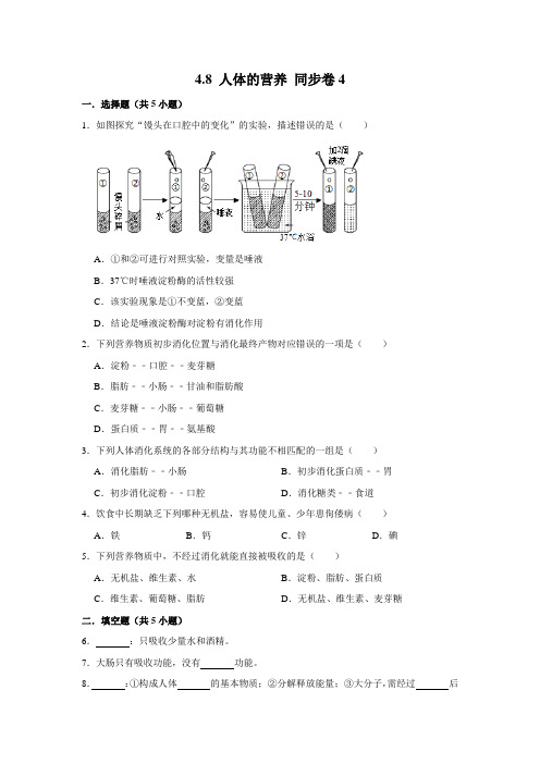 北师大版生物七年级下册人体的营养