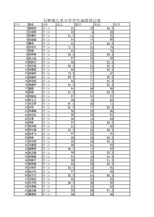 石桥二小2012-2013学年度学生成绩统计表12