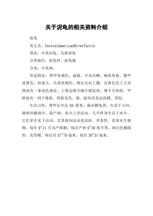 关于泥龟的相关资料介绍