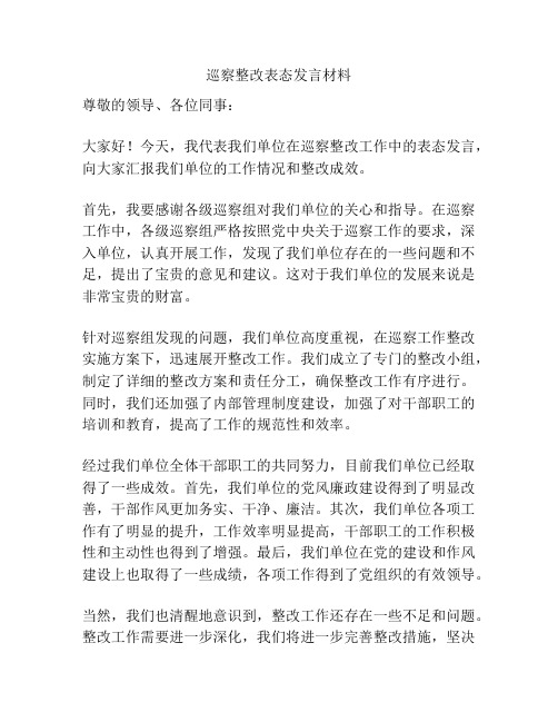 巡察整改表态发言材料