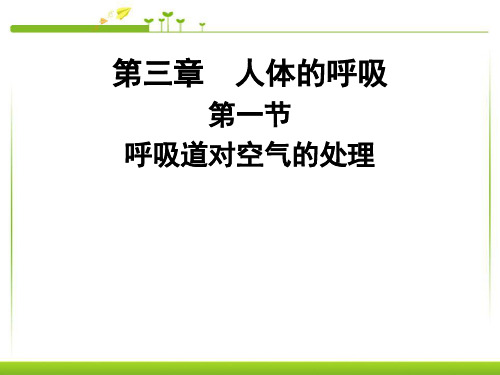 人教版初中生物七年级下 4.3.1呼吸道对空气的处理(共32张PPT)